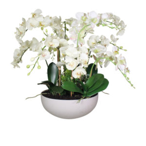 Artificial-silk-Phalenopsis-Orchid-spray-leaves-set-in-a-white-ceramic-pot-P1171-White-68cm