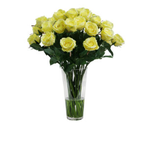 Artificial-silk-Rose-stems-set-in-a-clear-glass-vase-C280YL-Yellow-66cm